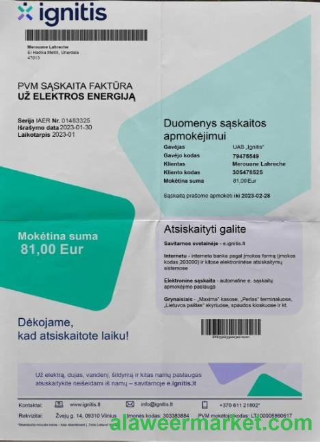 Lithuania Ignitis electricity bill